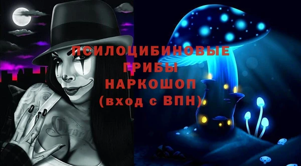 дмт Новокубанск