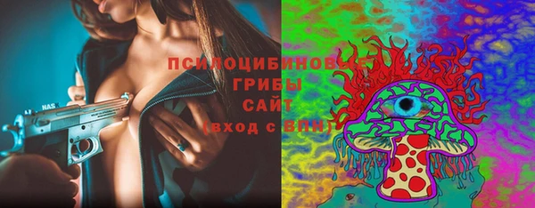 индика Алзамай