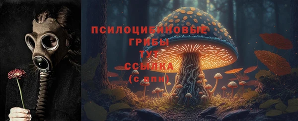 ALPHA-PVP Алексеевка