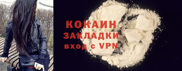 индика Алзамай