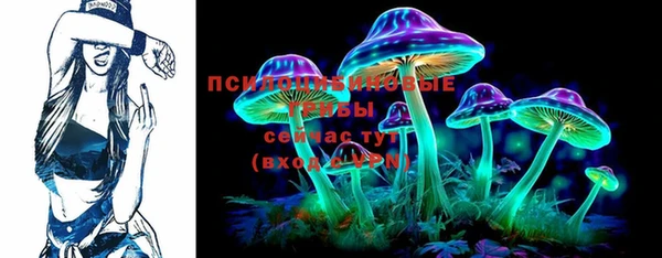 индика Алзамай